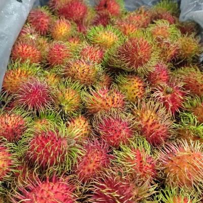CHÔM CHÔM TƯƠI GUATEMALA – ĐÃ CÓ MẶT TẠI CALI! || FRESH RAMBUTAN FROM GUATEMALA – NOW IN CALIFORNIA!