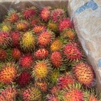 CHÔM CHÔM TƯƠI GUATEMALA – ĐÃ CÓ MẶT TẠI CALI! || FRESH RAMBUTAN FROM GUATEMALA – NOW IN CALIFORNIA!