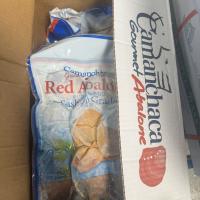 RED ABALONE CHILE – BÀO NGƯ ĐỎ CHILE ĐÔNG LẠNH CAO CẤP
