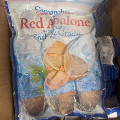 RED ABALONE CHILE – BÀO NGƯ ĐỎ CHILE ĐÔNG LẠNH CAO CẤP