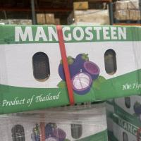 MĂNG CỤT TƯƠI ĐÃ CÓ MẶT TẠI CALI! || FRESH MANGOSTEEN NOW AVAILABLE IN CALIFORNIA!