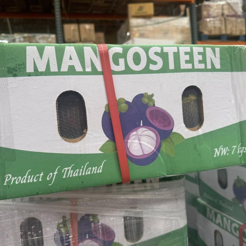 MĂNG CỤT TƯƠI ĐÃ CÓ MẶT TẠI CALI! || FRESH MANGOSTEEN NOW AVAILABLE IN CALIFORNIA!