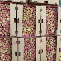 VẢI THIỀU TƯƠI – NGỌT LỊM, ĐÃ CÓ MẶT TẠI CALI! FRESH LYCHEE – SWEET & JUICY – NOW IN CALIFORNIA