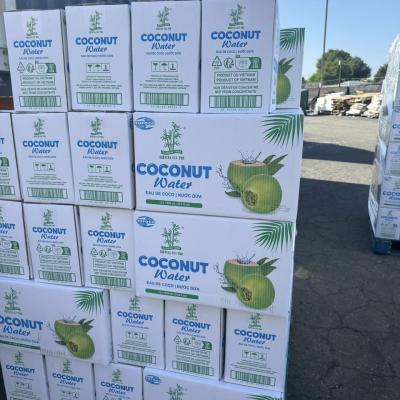 Dừa Xiêm 3 Cây Tre - Coconut water 🌺