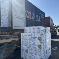 Dừa Xiêm 3 Cây Tre - Coconut water 🌺
