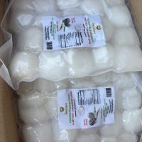 Frozen Nipa Palm Meat - CƠM DỪA NƯỚC ĐÔNG LẠNH